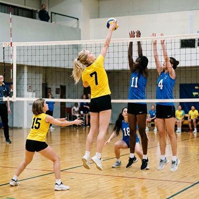 Six sports photos in a photo library: volleyball,